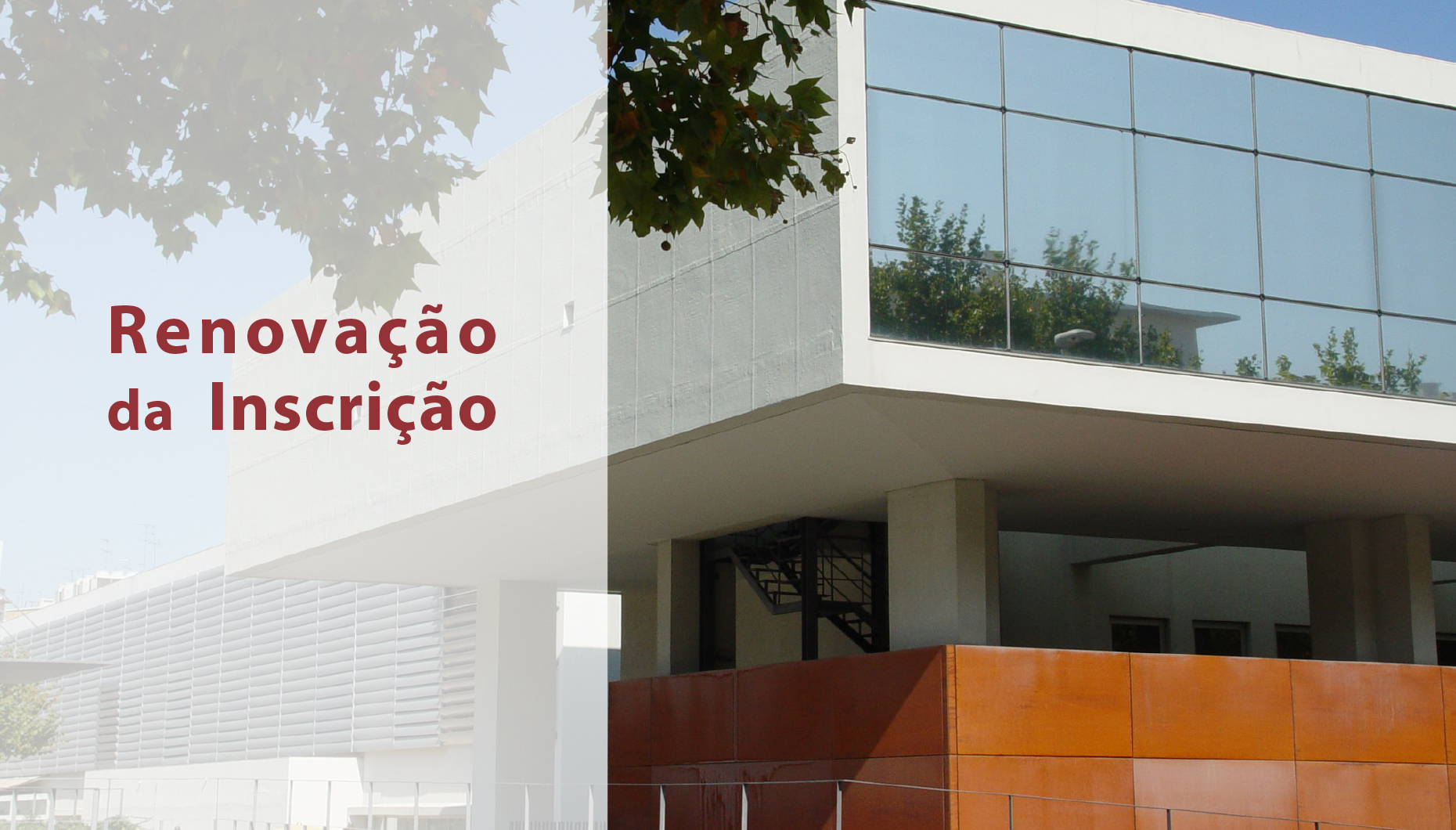 Renovação inscricao