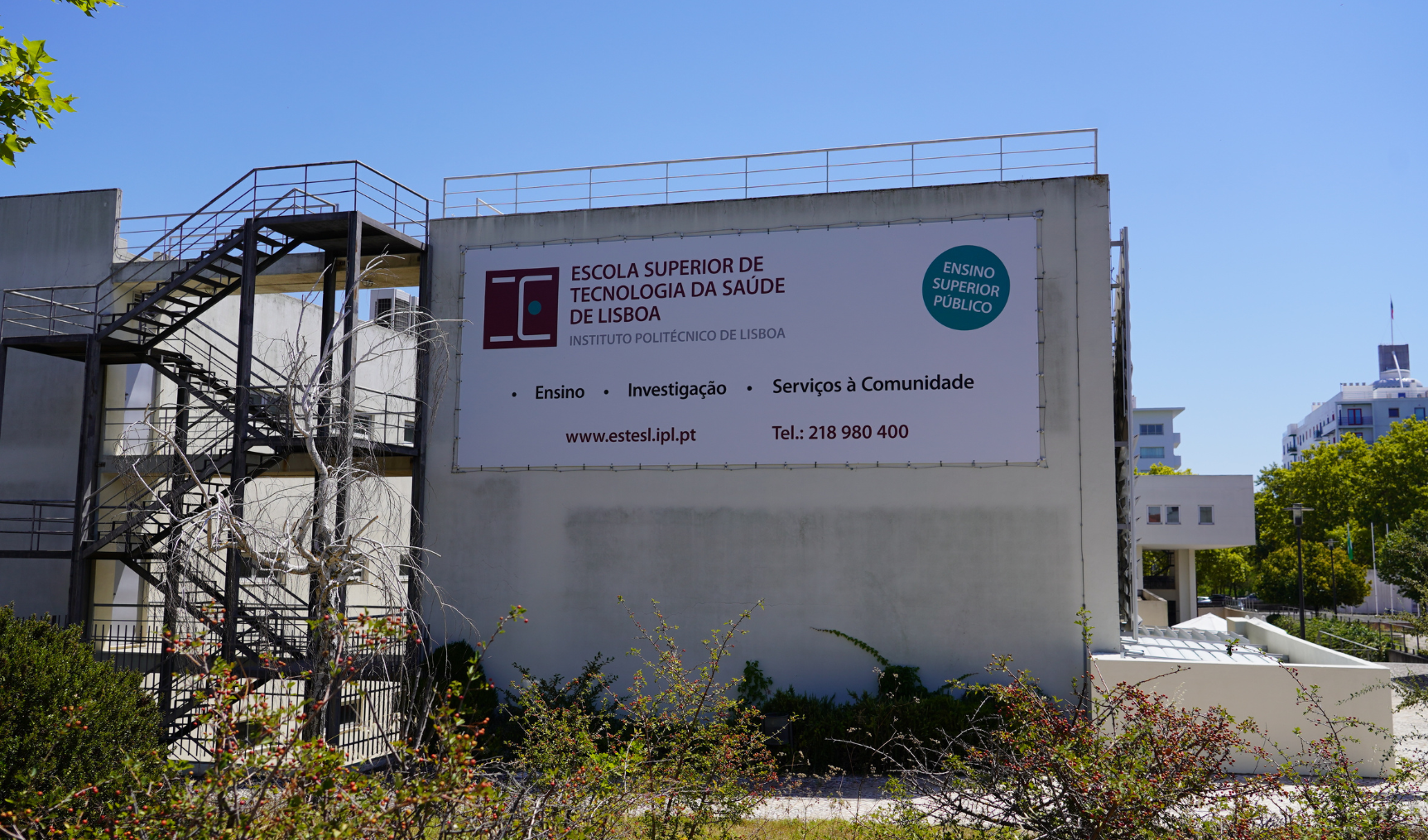 cursos da ESTeSL