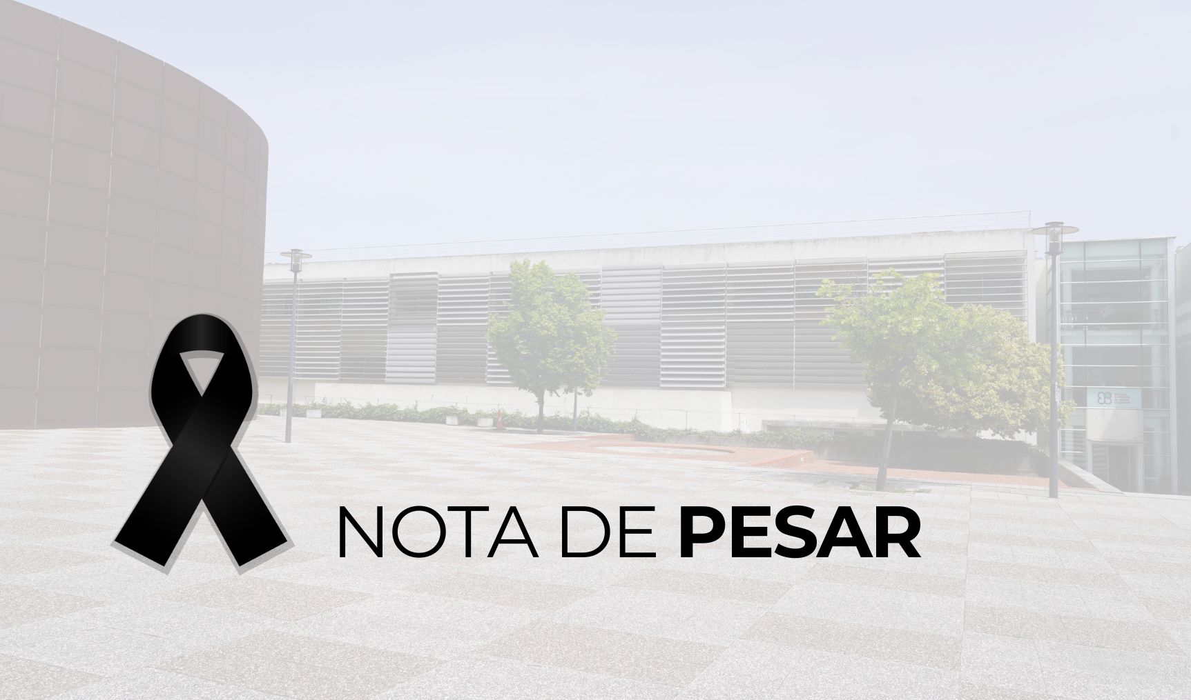 Notadepesar2026