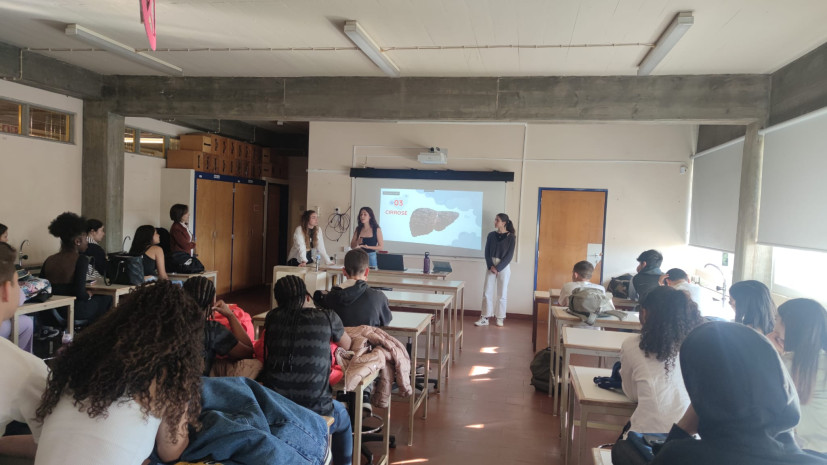 Escola Alves Redol