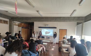 Escola Alves Redol