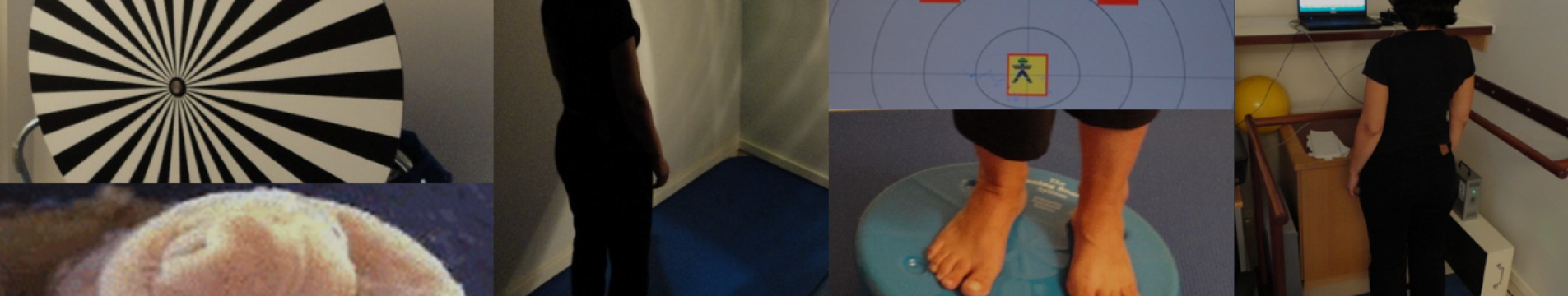 curso Fisioterapia vestibular