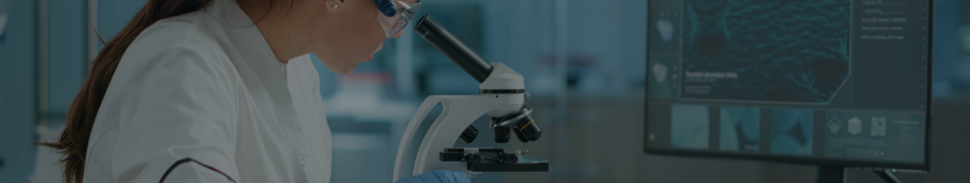 Curso_Etica_Integridade