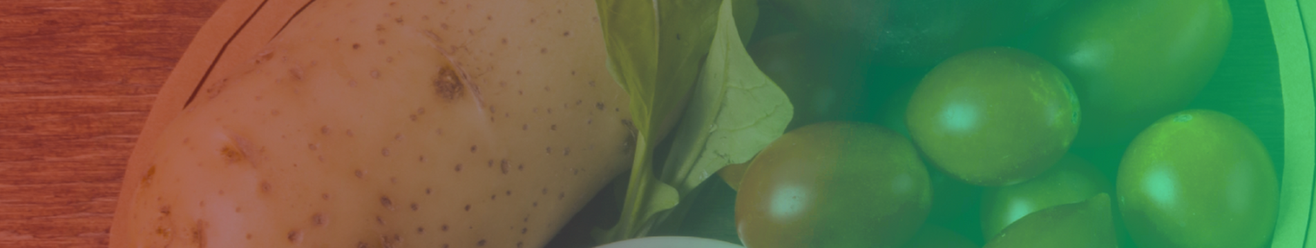 bannerMNC