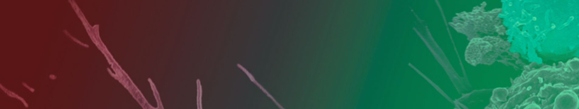 bannerPGONC